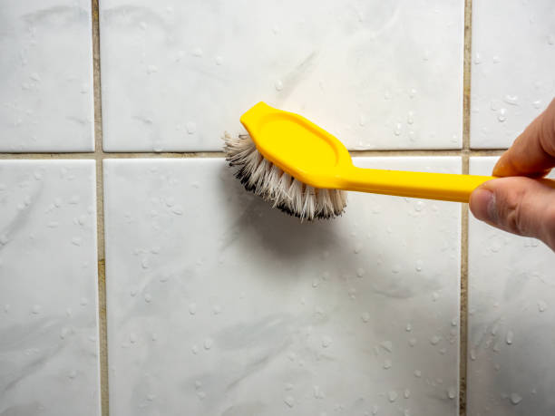 Best Mold Remediation for Schools in Mcadenville, NC