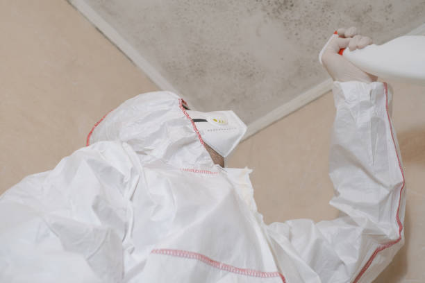 Best Residential Mold Remediation in Mcadenville, NC
